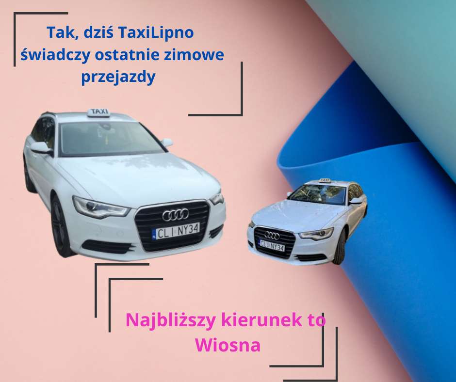 TaxiLipno puzzle online from photo