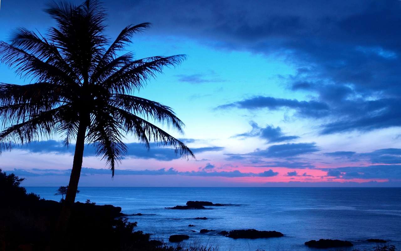 hawai océano puzzle online a partir de foto