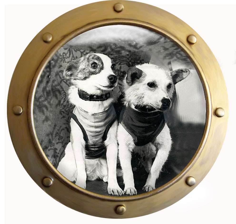 Belka and Strelka puzzle online from photo