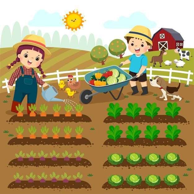 Agriculture puzzle online from photo