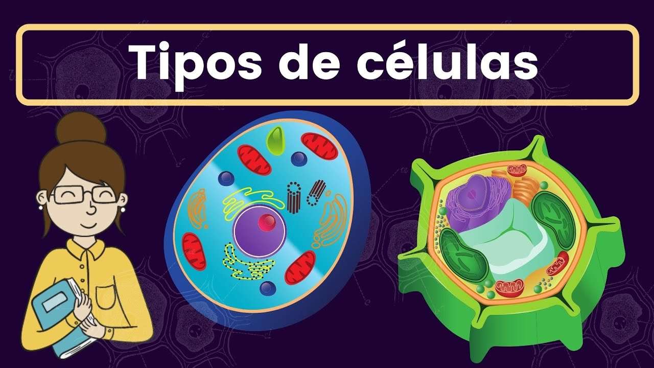 Cell types puzzle online from photo