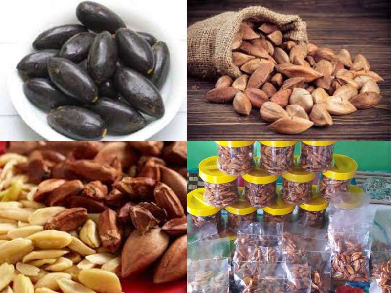 Pili nuts puzzle online from photo