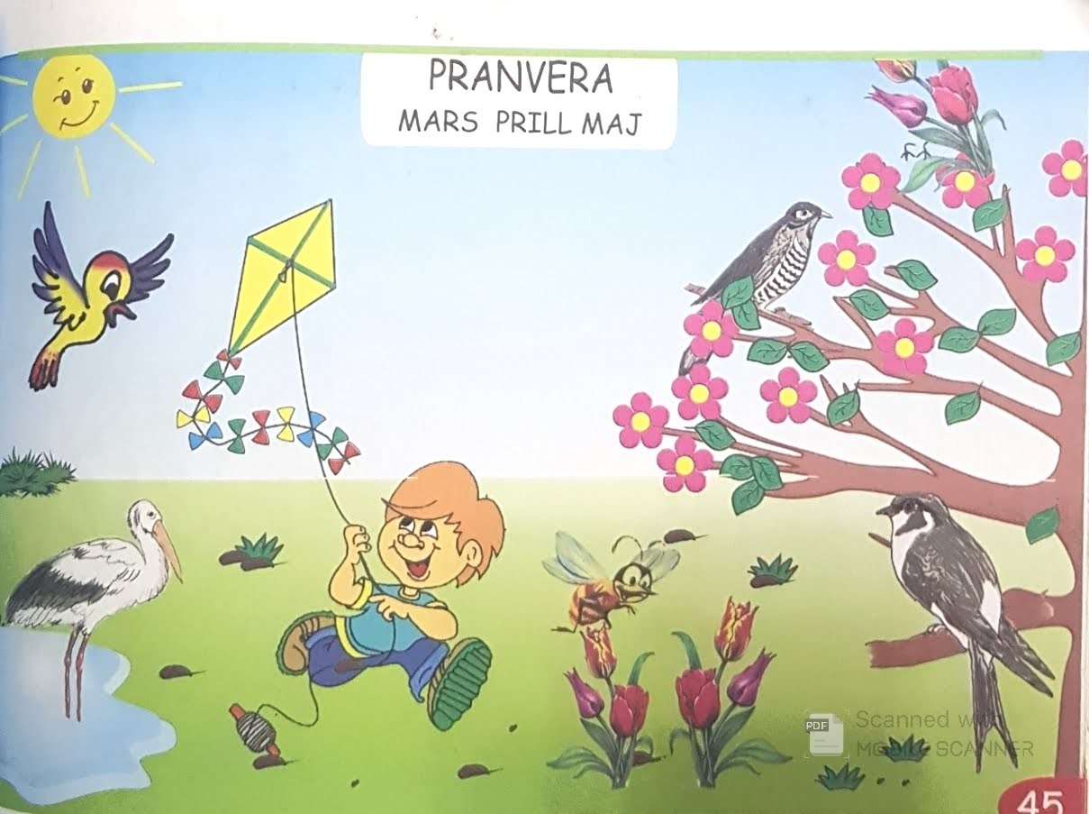 Pranvera puzzle online from photo