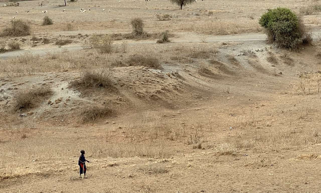 ребенок масаи пазл онлайн из фото