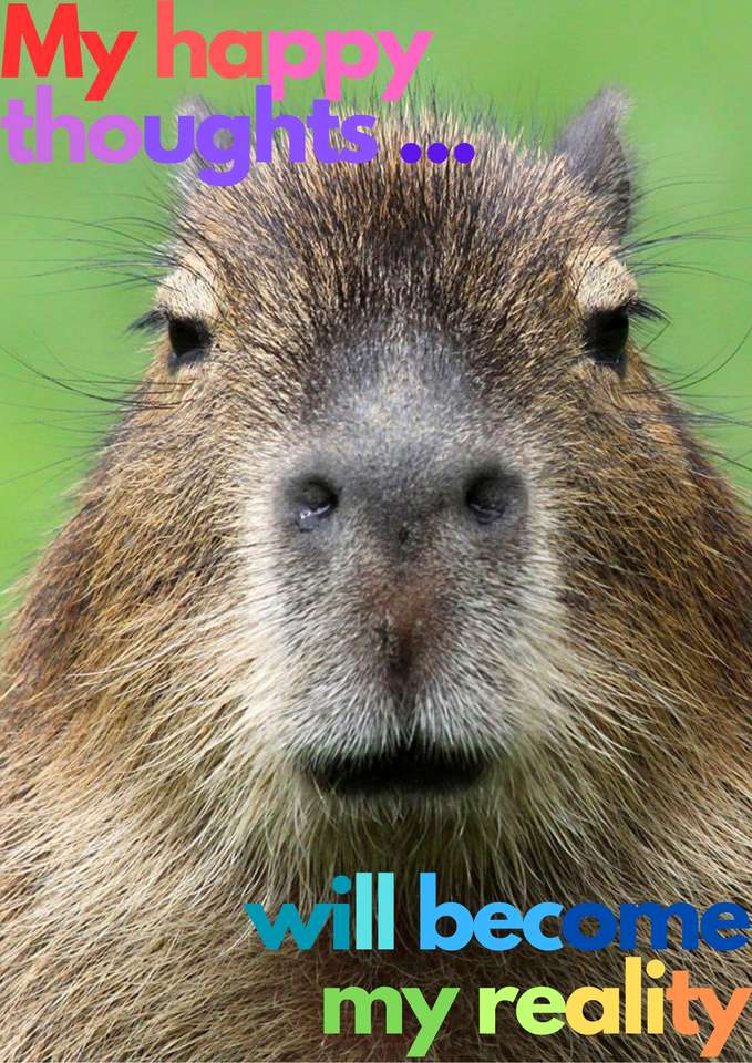 Afirmace Capybara online puzzle