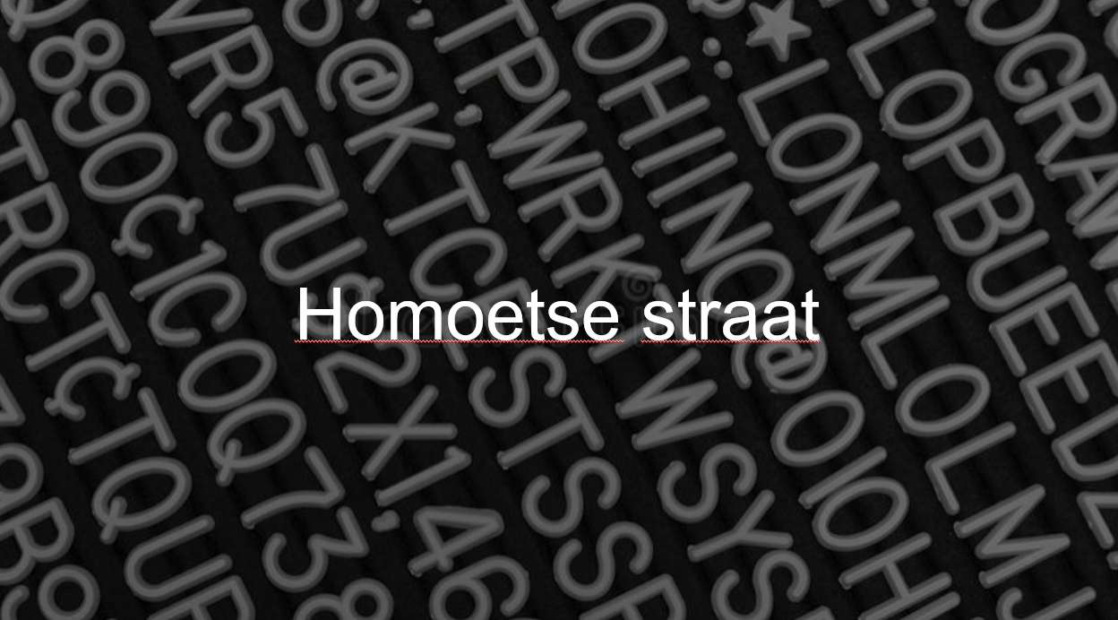 homoetse straat online puzzel