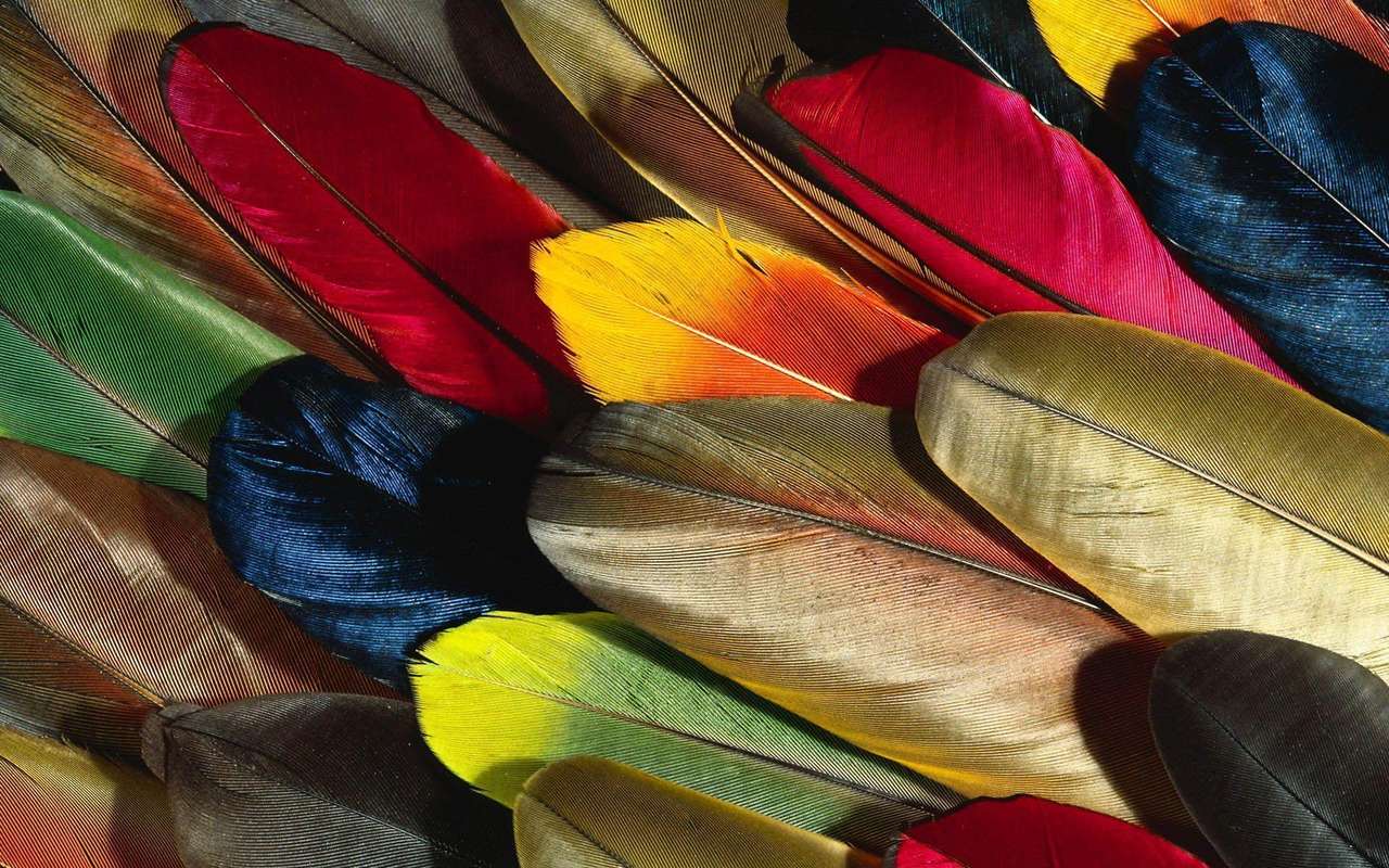 ~ Feathers Together ~ puzzle online from photo