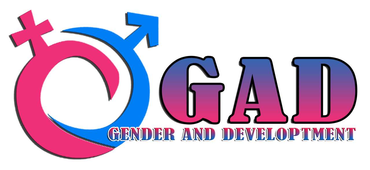 Gender and development online puzzle