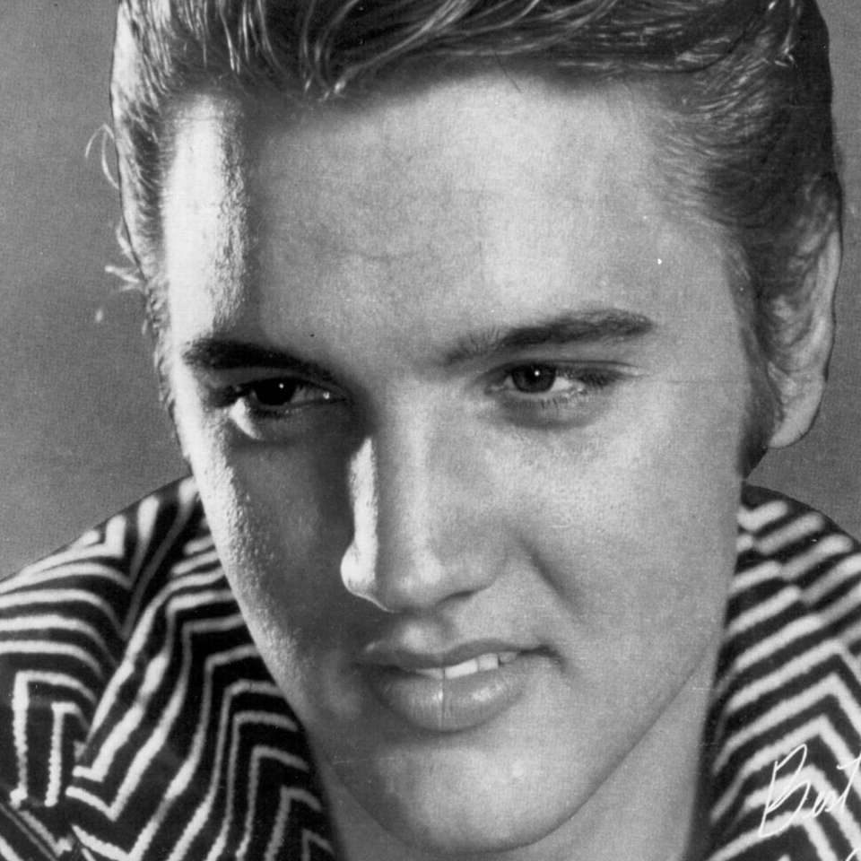 Close up of Elvis puzzle online from photo