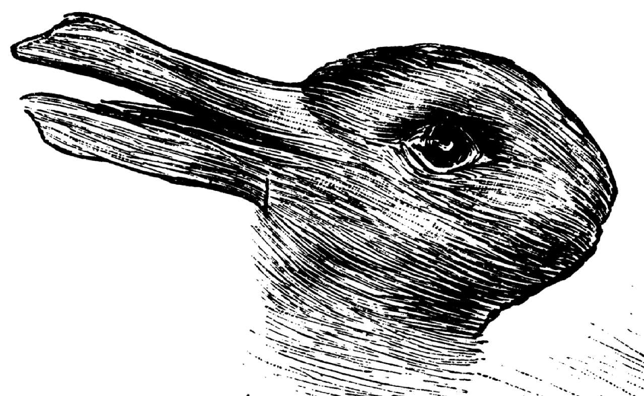 アヒルのウサギ オンラインパズル