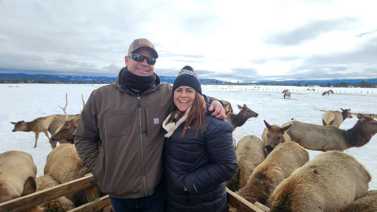 Idaho Elk Herd online puzzle
