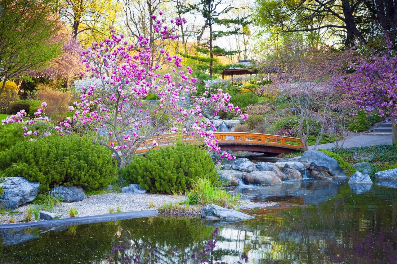 Water Rond De Roze Bloemen puzzel online van foto
