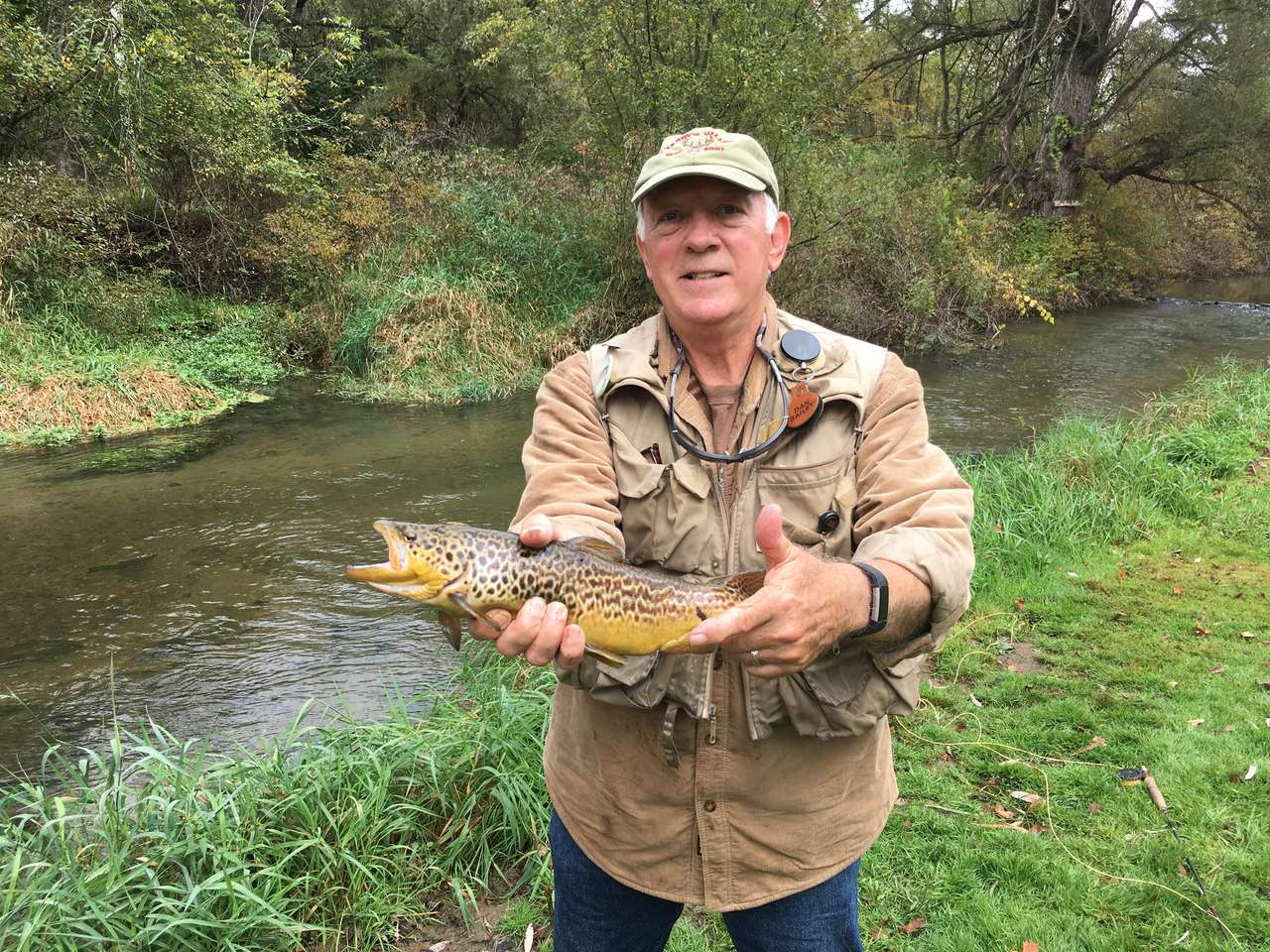 Pat’s Brown Trout puzzle online from photo