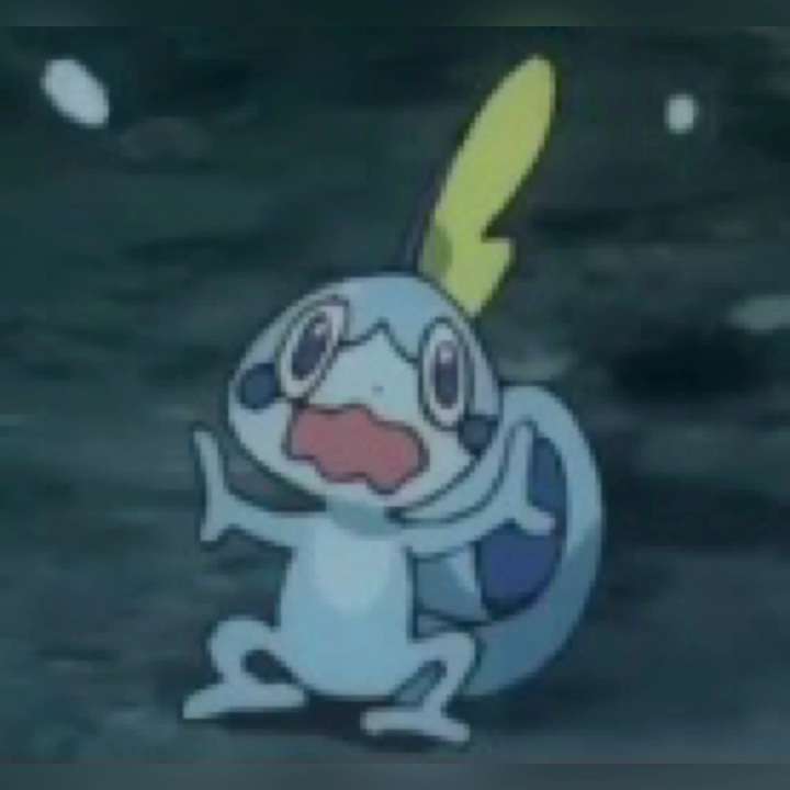 Sobble Screaming online puzzle