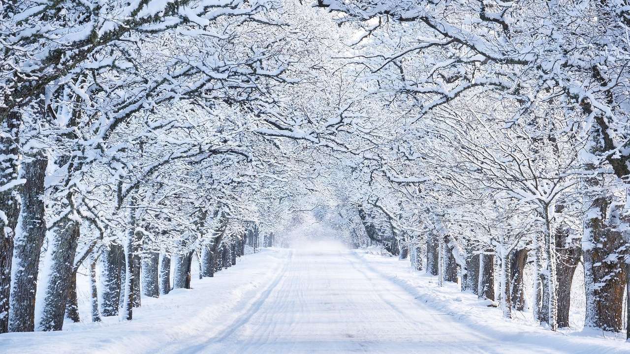 foto nevada rompecabezas en línea