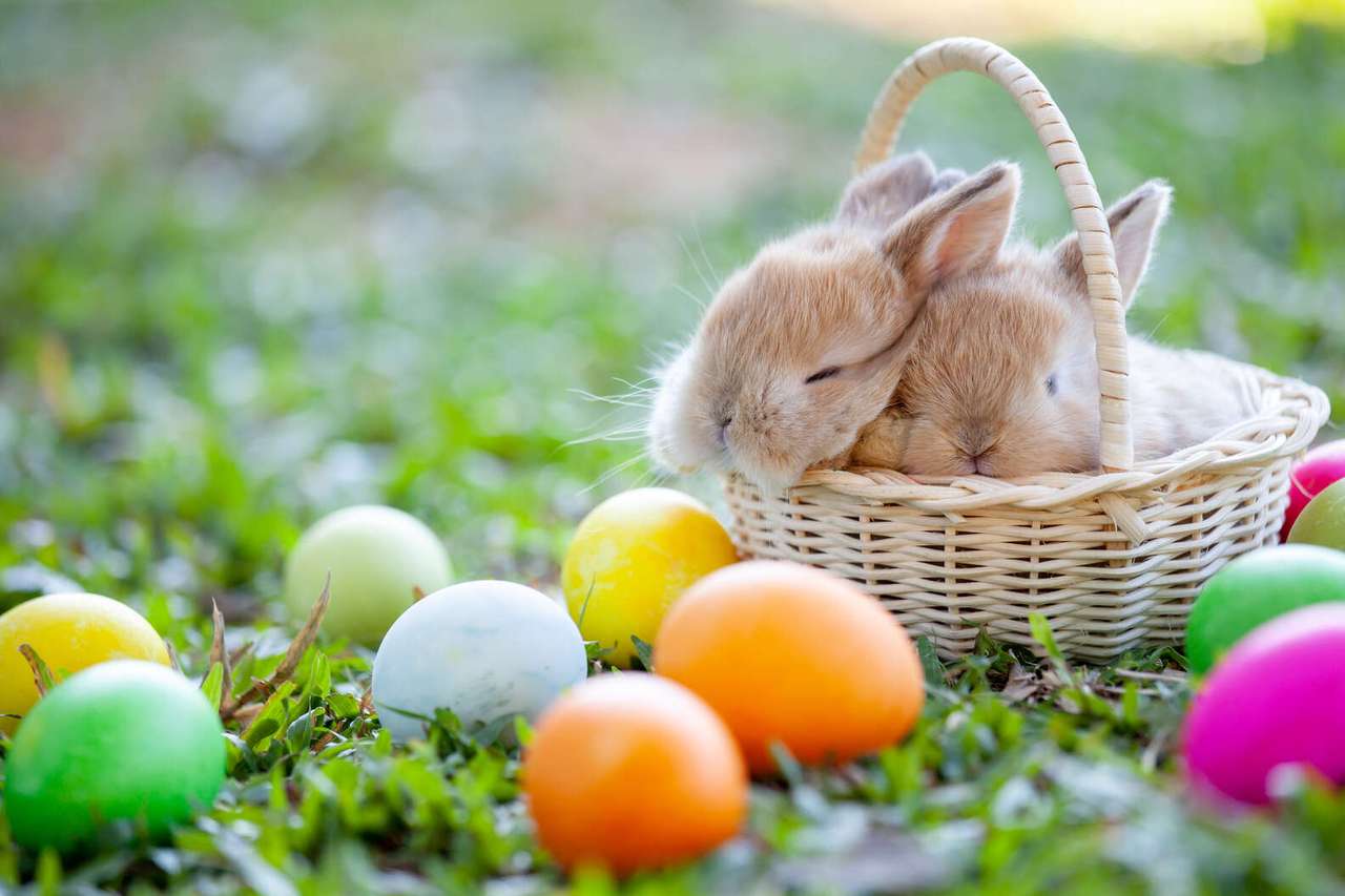 Easter Bunny Jigsaw Puzzle puzzle online from photo