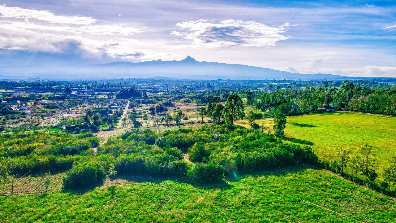 TERRAIN À NANYUKI puzzle en ligne à partir d'une photo