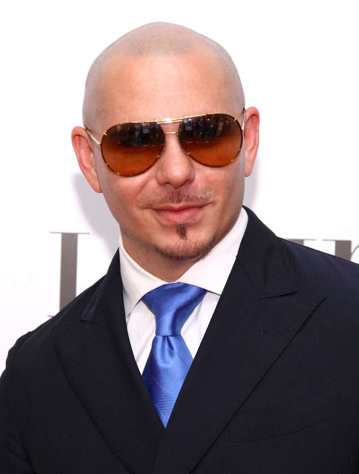 Головоломка Pitbull онлайн пазл