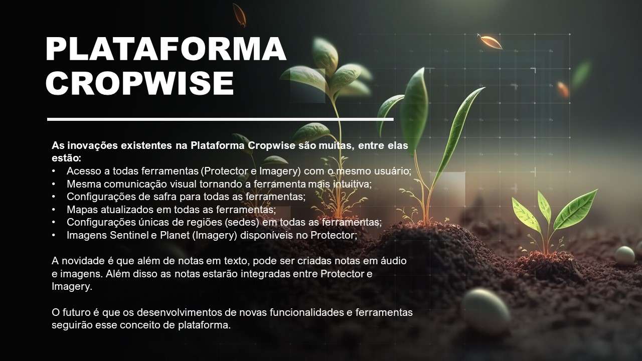 8.2 - Plataforma rompecabezas en línea