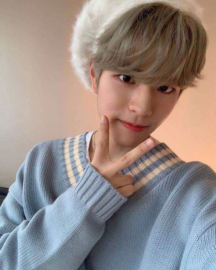 seungmin pussel online från foto