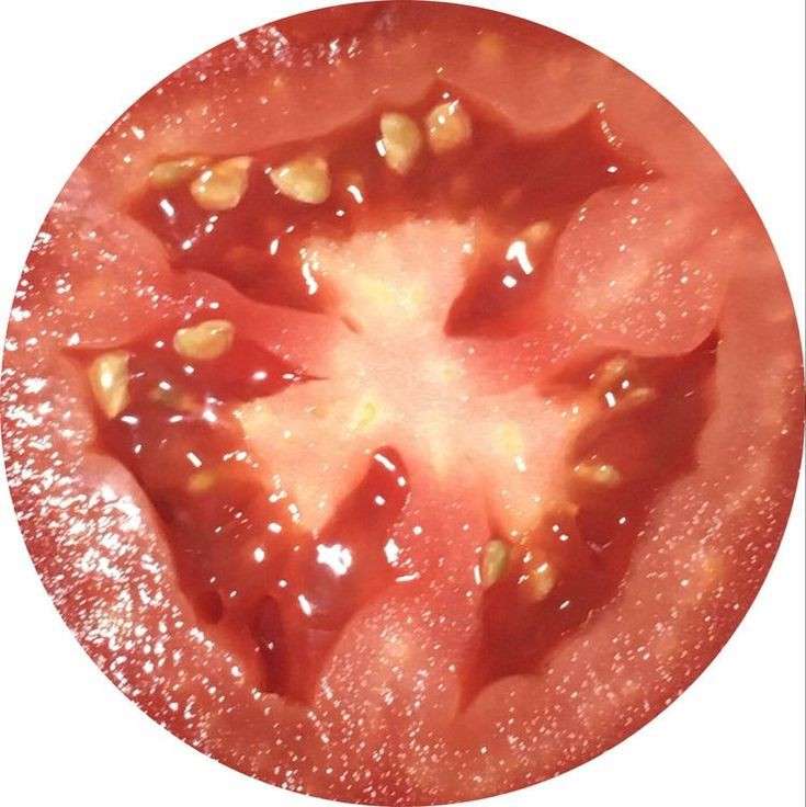 tomatoes online puzzle