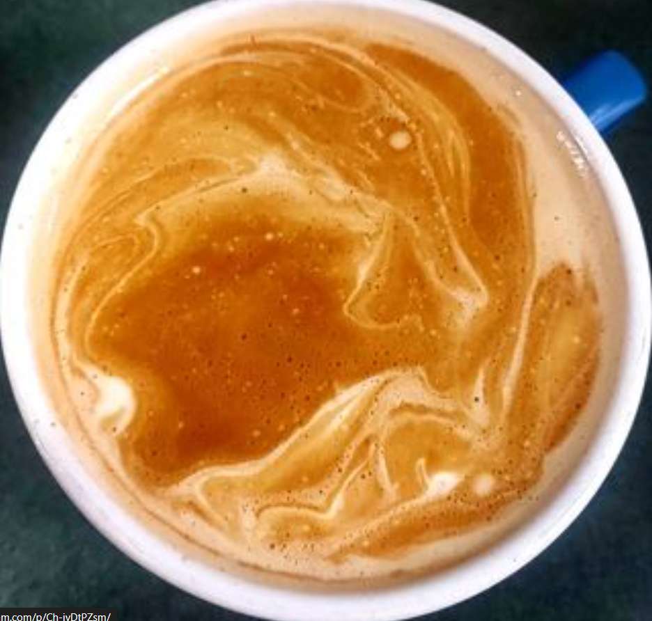 Delfin och sköldpadda tillsammans i en kaffekopp pussel online från foto