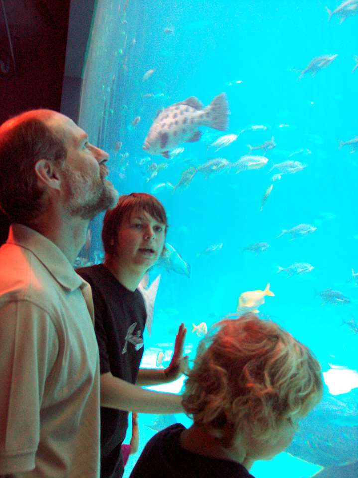 Dan & jongens bij aquarium online puzzel