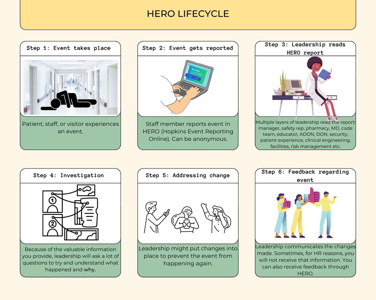 Жизнен цикъл на HERO онлайн пъзел от снимка