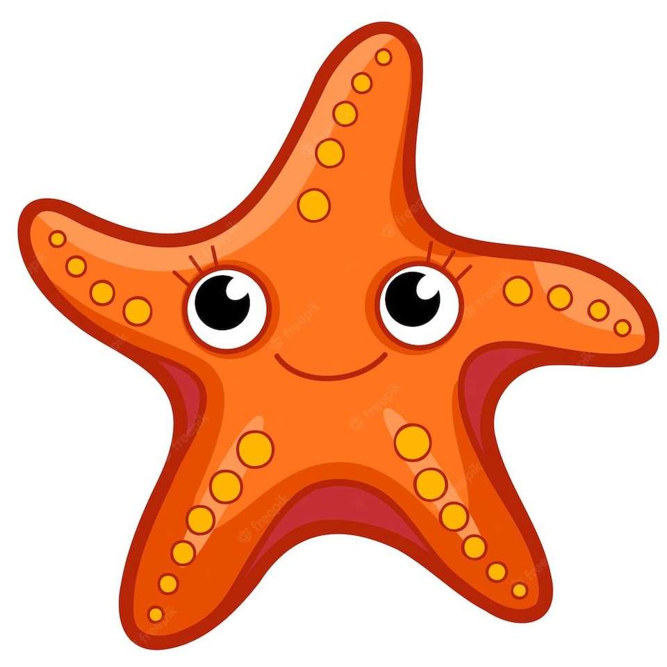 estrella de mar puzzle online a partir de foto