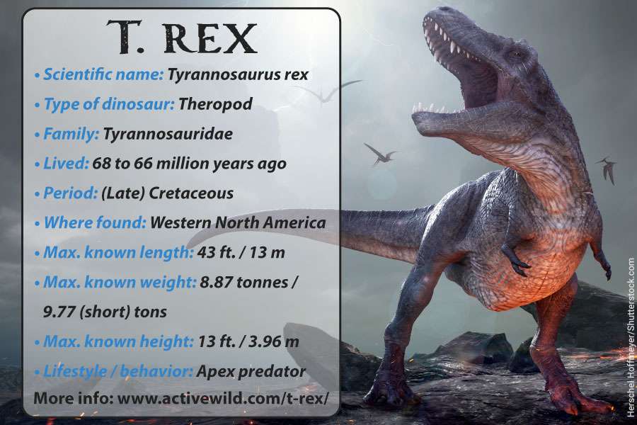 t-rex kung fakta # puzzel online van foto