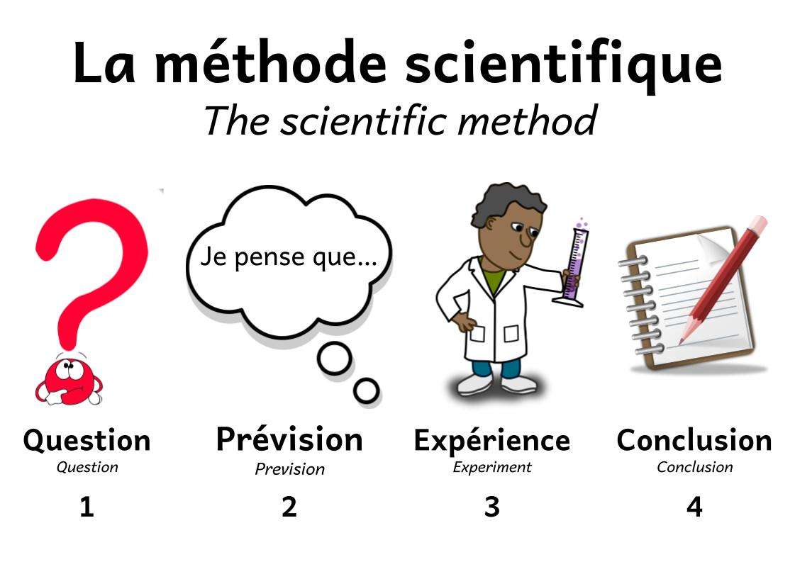 Méthode Scientifique online παζλ