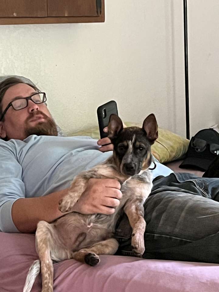 Людина з собакою скласти пазл онлайн з фото