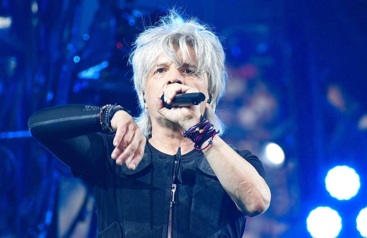 Nicola Sirkis puzzle en ligne