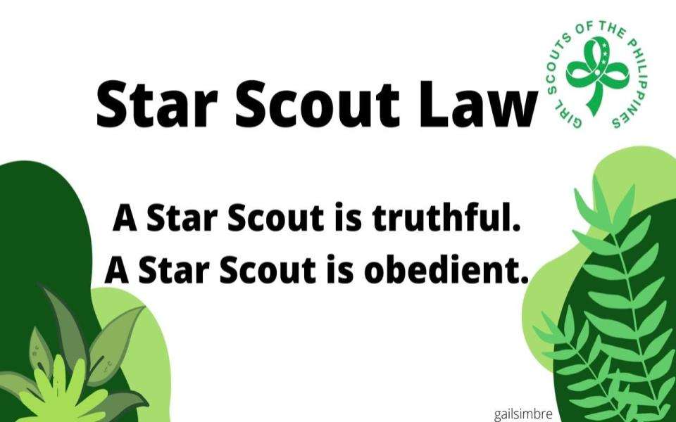 Star Scout Law puzzle online from photo
