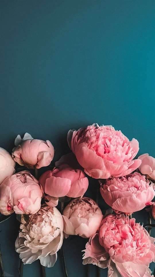 Цветок пазл онлайн из фото