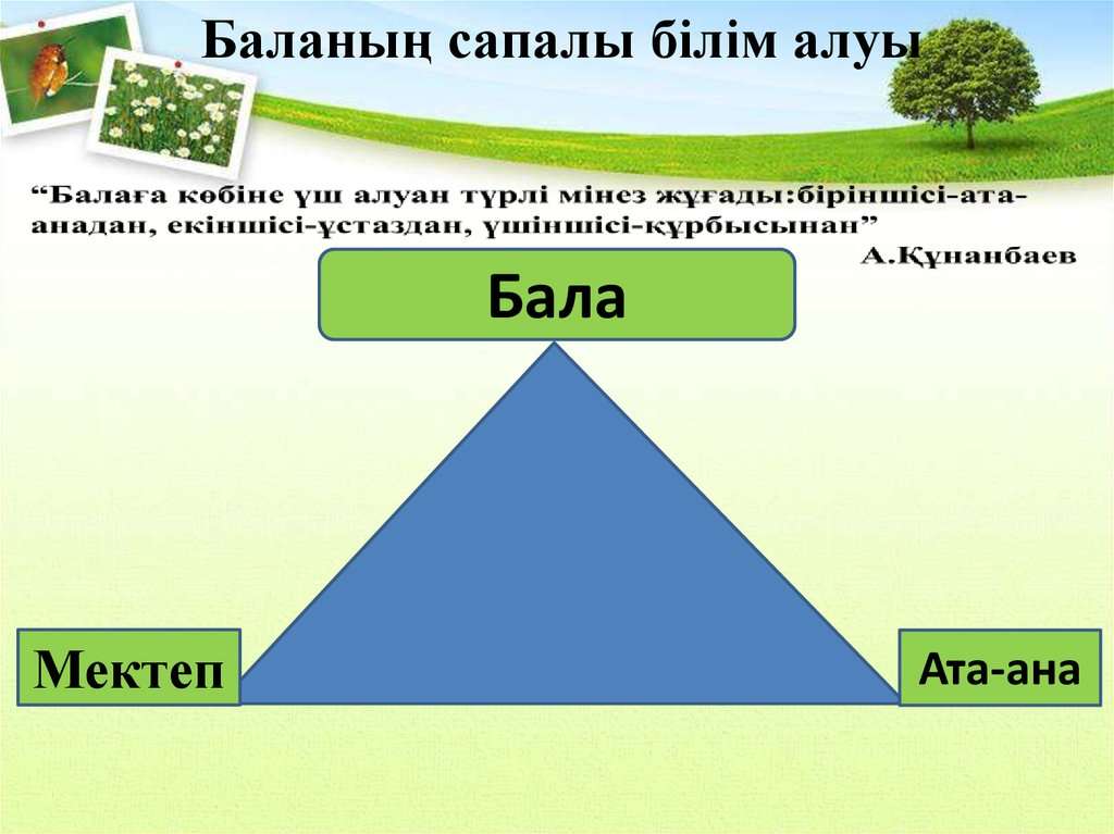 Баланың сапалы білім алуы онлайн-пазл