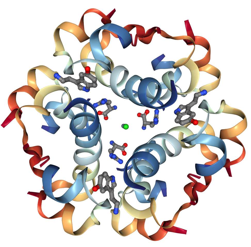 3D протеїн онлайн пазл