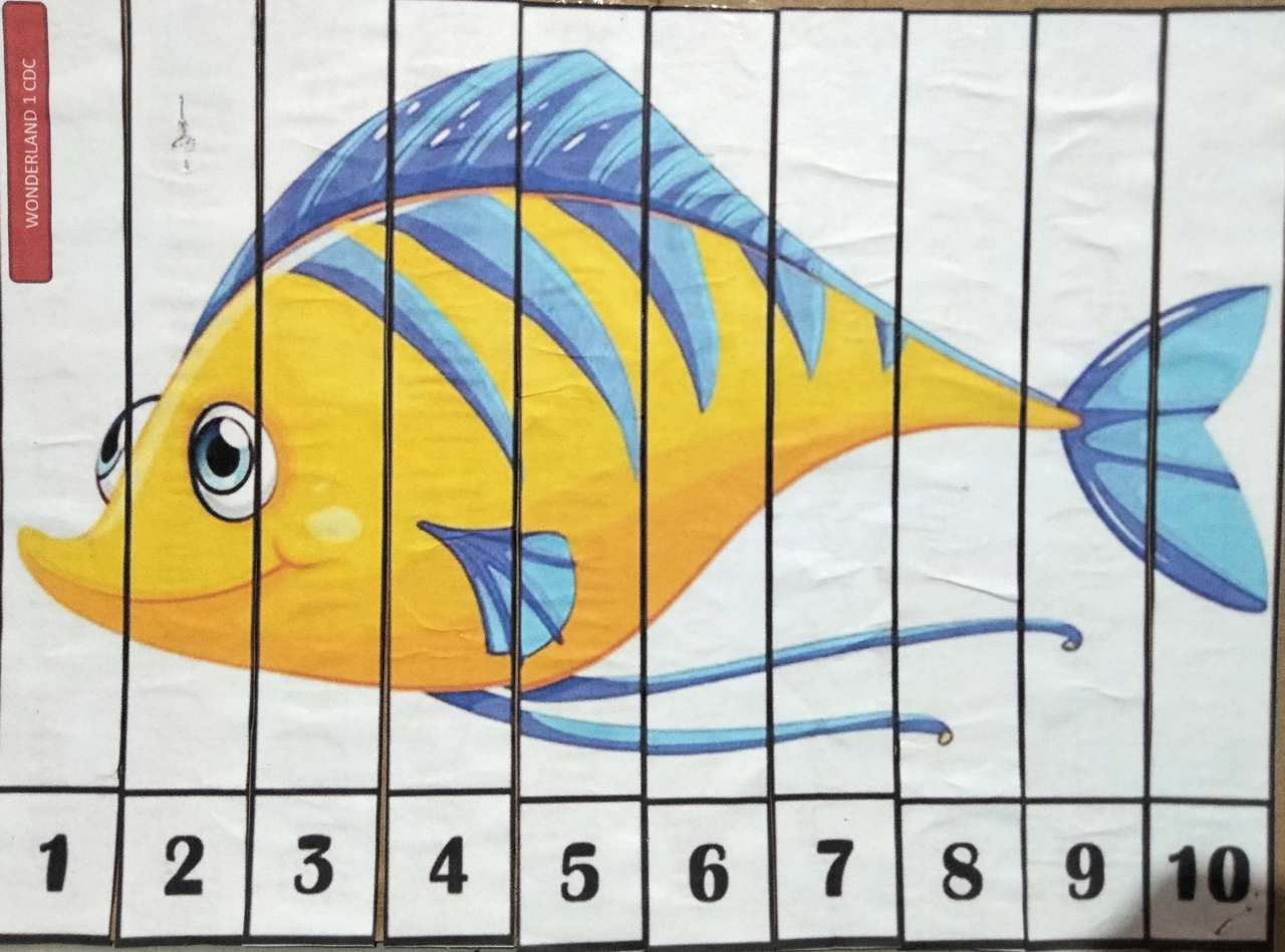 Gold fish online puzzle