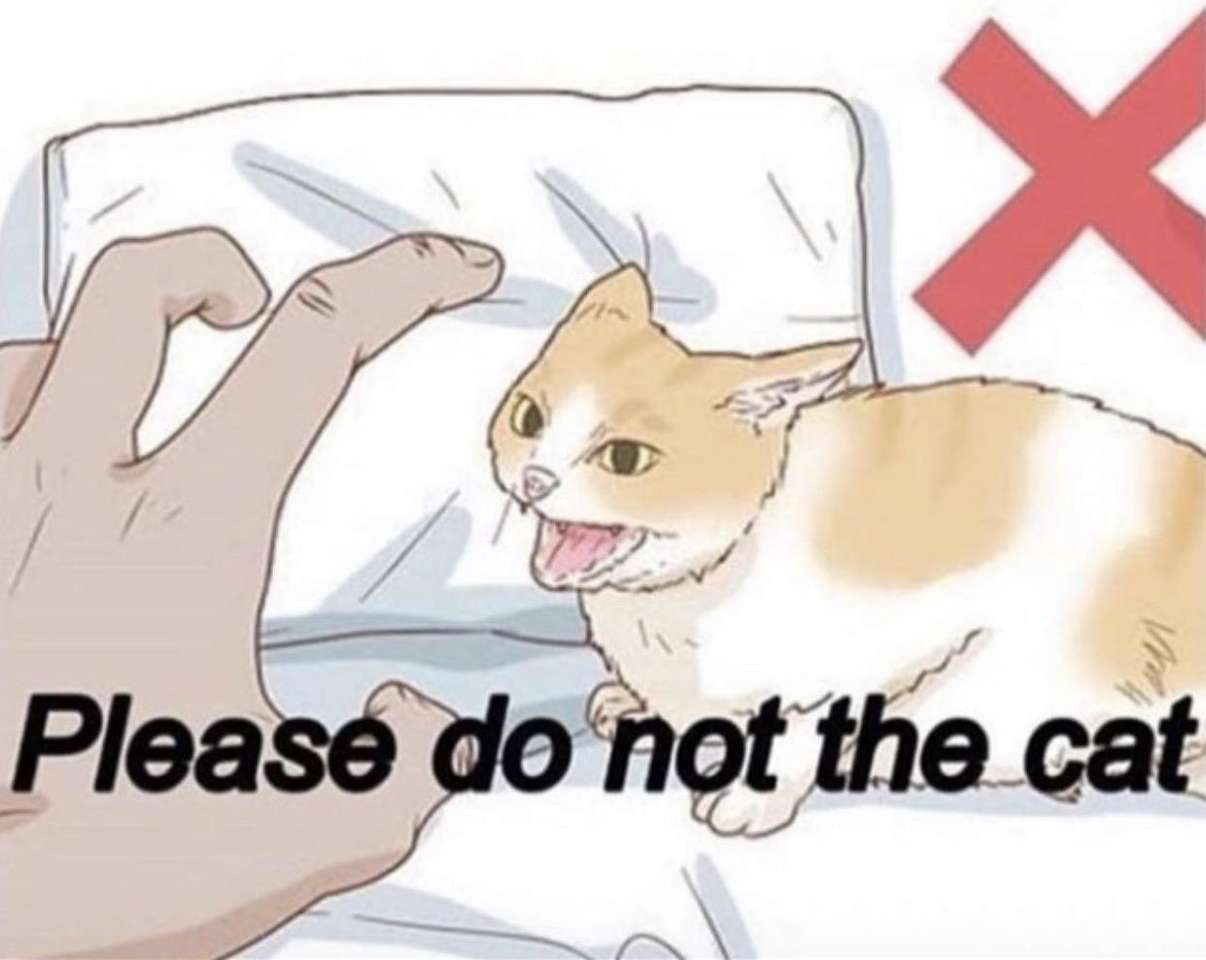 Gör inte katten Pussel online