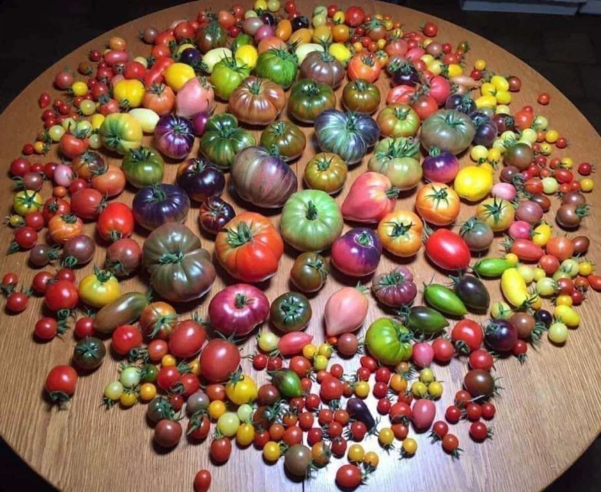 Tomatoes puzzle online
