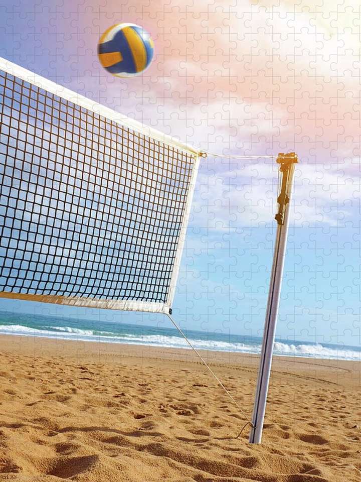 Volleyball online puzzle