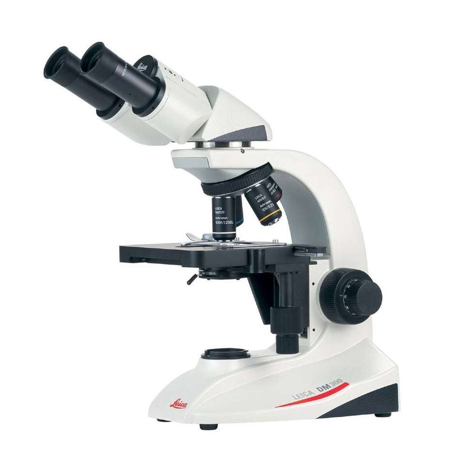 Microscope puzzle online from photo
