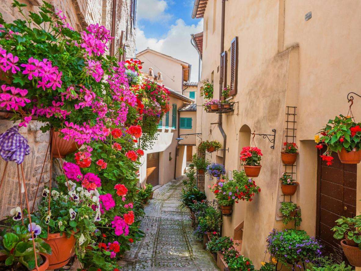 Italia con flores rompecabezas en línea