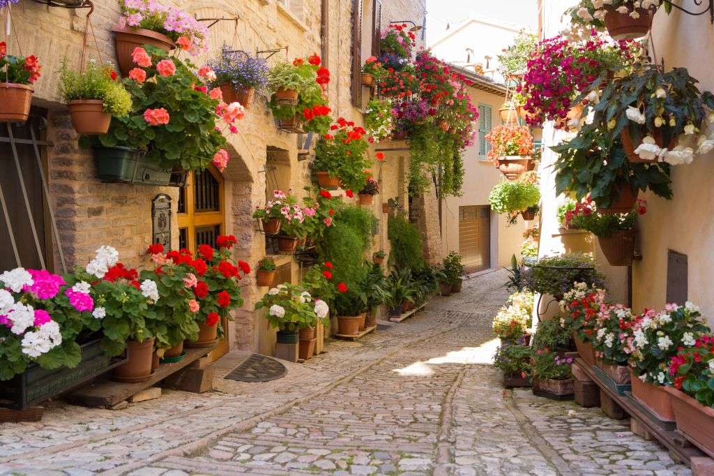 Itália com flores na rua puzzle online a partir de fotografia