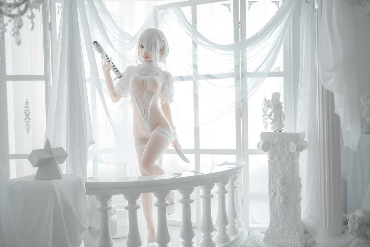 2b white puzzle online from photo