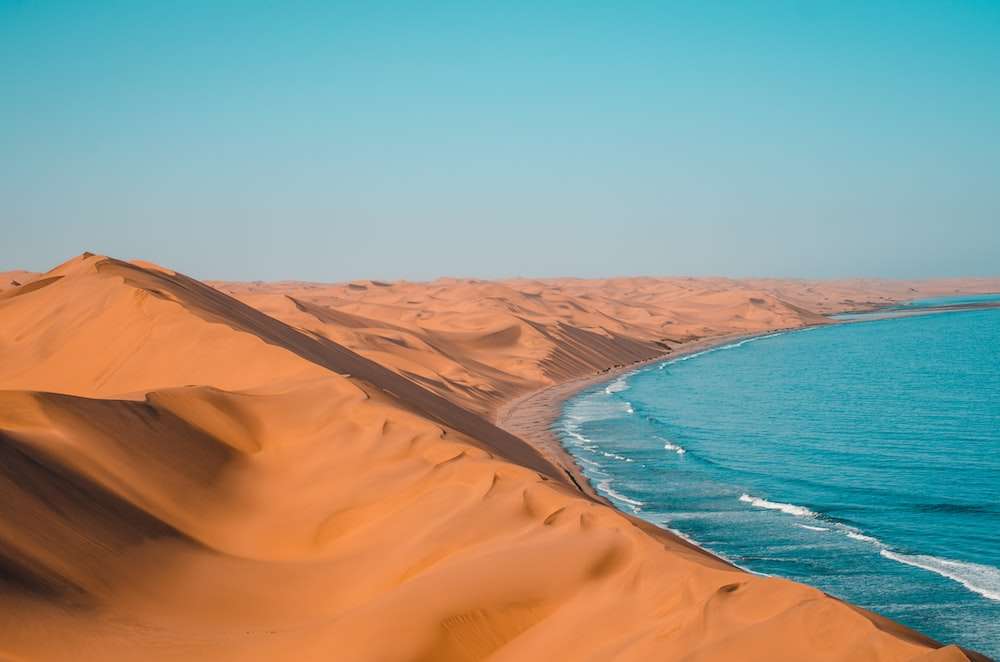 Caminata por las dunas puzzle online a partir de foto