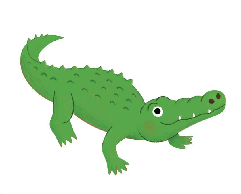 Alligator pussel online från foto