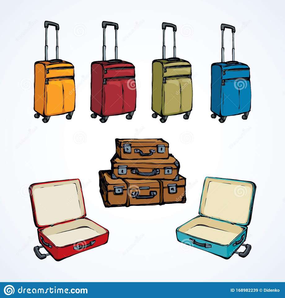 Diferentes maletas rompecabezas en línea