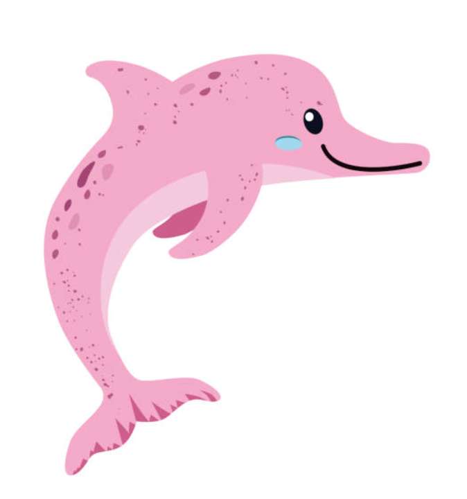 golfinho cor-de-rosa puzzle online a partir de fotografia