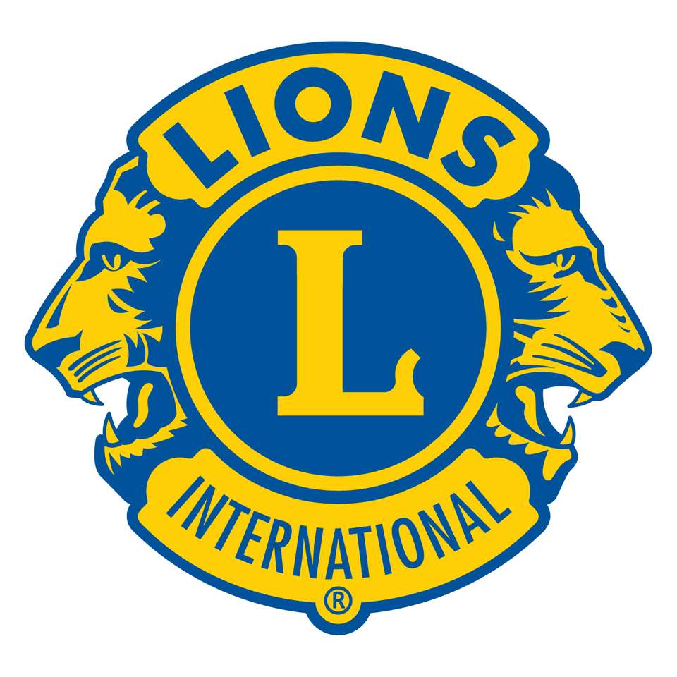 Lions clube puzzle online
